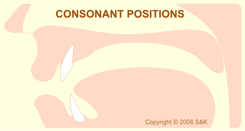 Consonantal positions