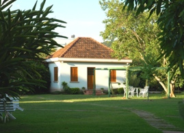 Our cottage in the backyard
